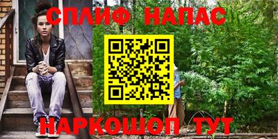 прущие грибы Бийск