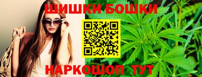 гидра Гусев