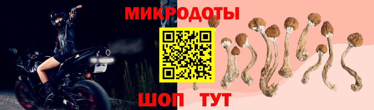 Псилоцибиновые грибы мицелий  Галлюциногенные грибы Cubensis  сколько стоит  Вход с VPN  Магадан 